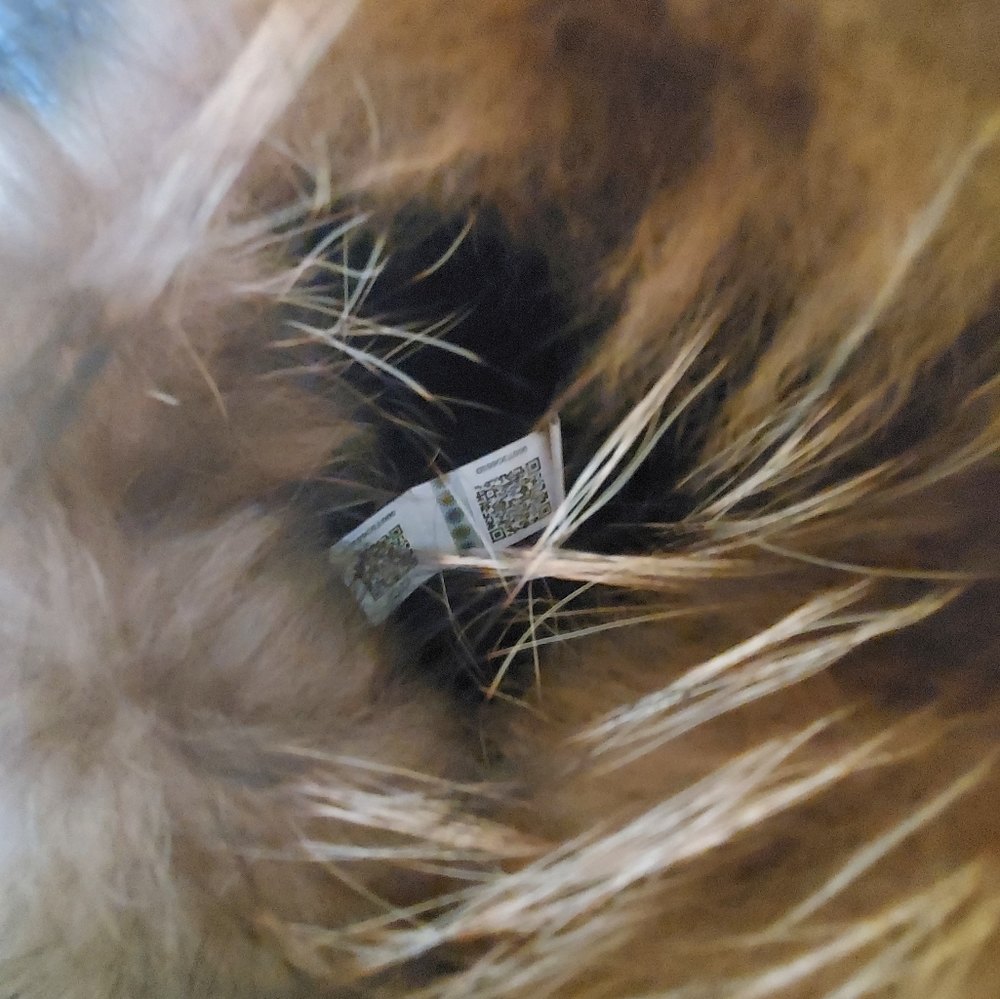 Smaibulun UGG Black and Brown Fur Boots - Picture 5 of 16